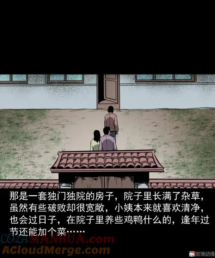 墙里的声音3