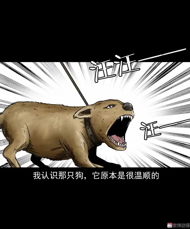 我儿子的故事50