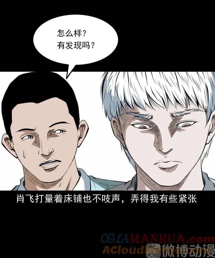 白头翁之恶咒60