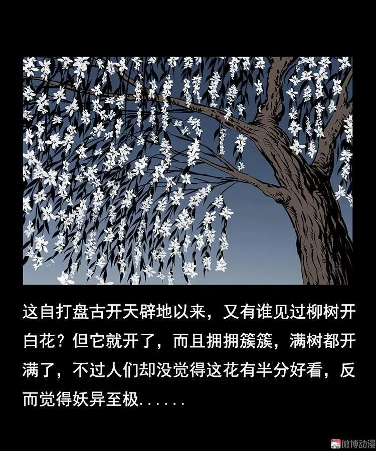 花柳树61