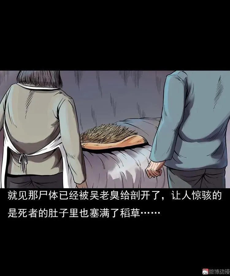 稻草人22