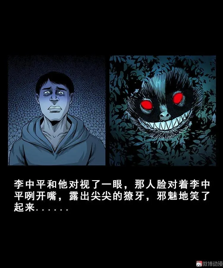 人面獾13