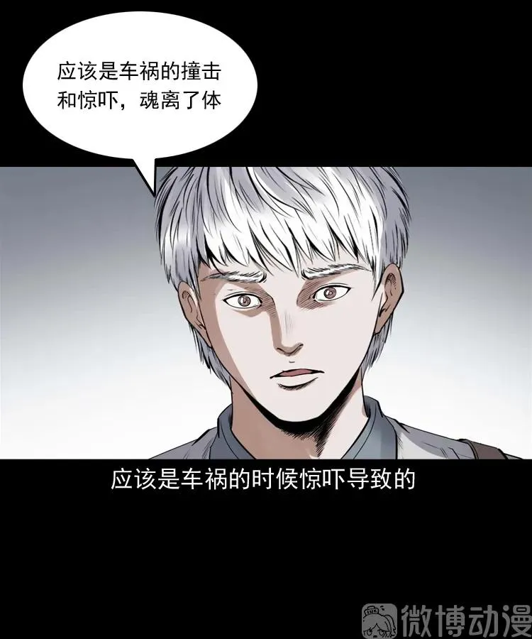 白头翁之抢魂（上）31