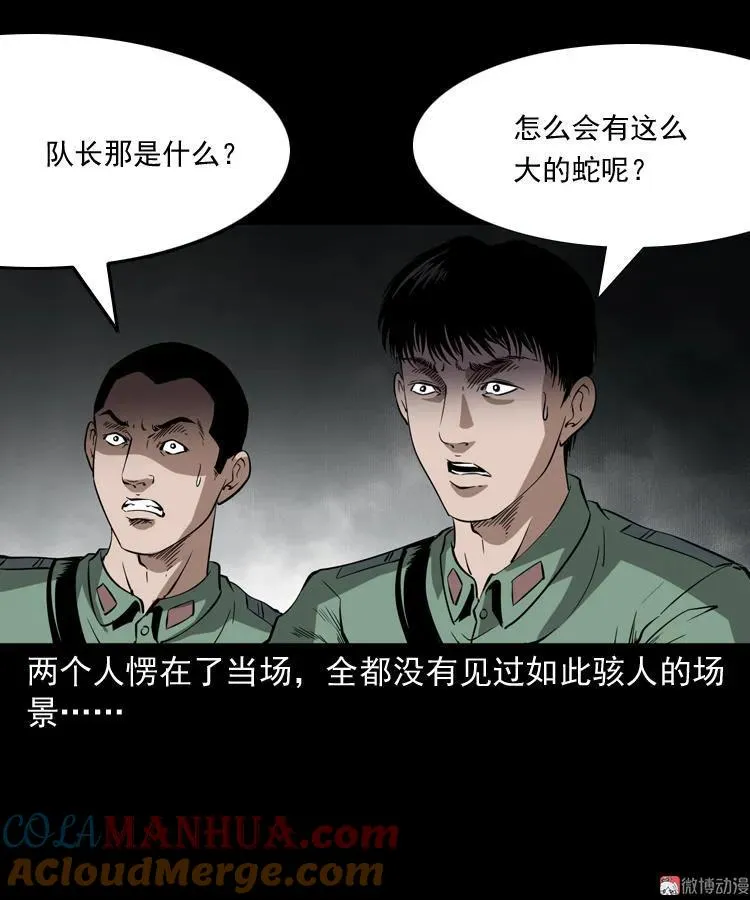 失踪案42