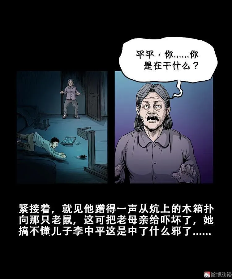 黑猫25