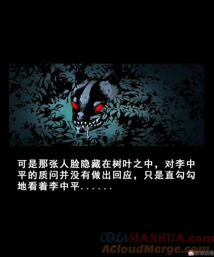 人面獾12