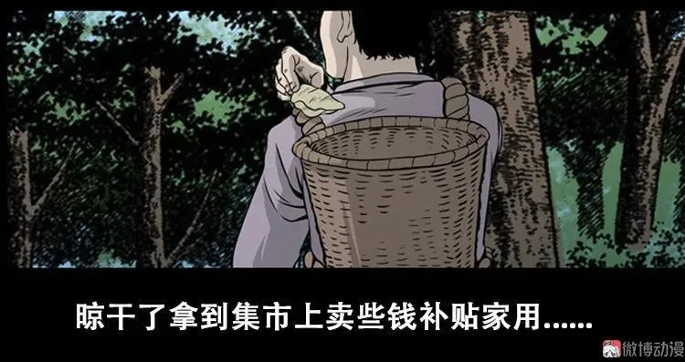 北瓜（上）4