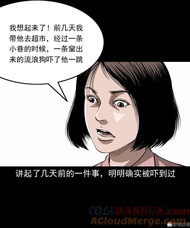 白头鬼之叫魂24