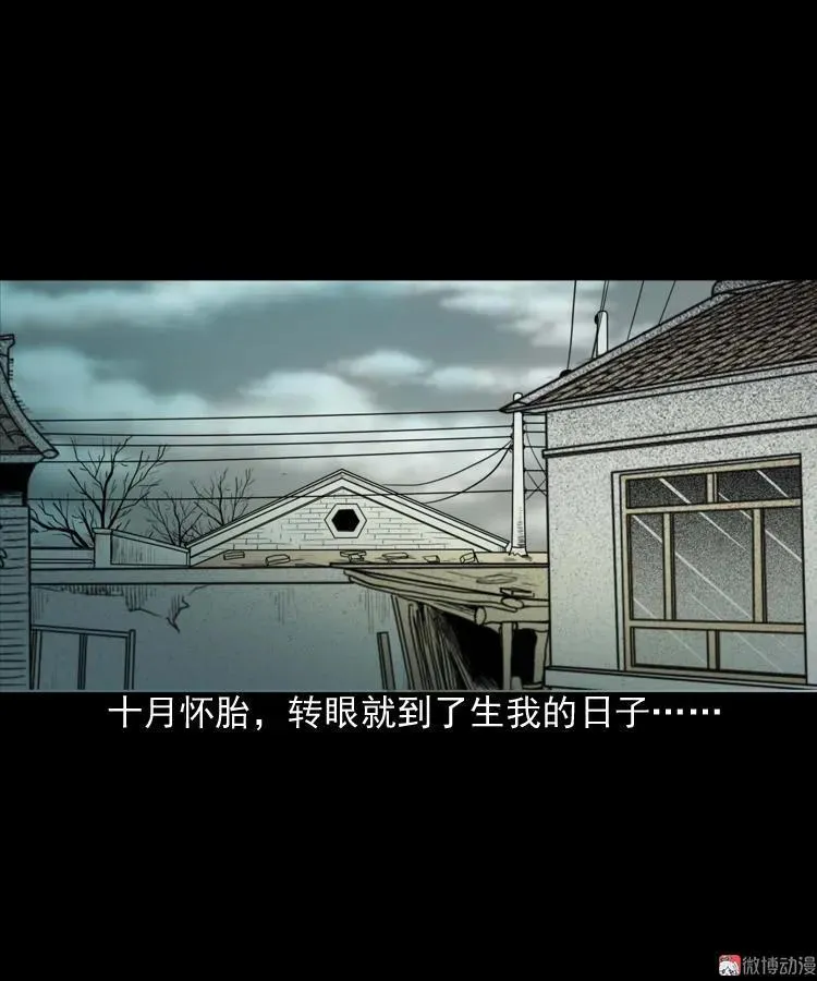 我的傻娘10