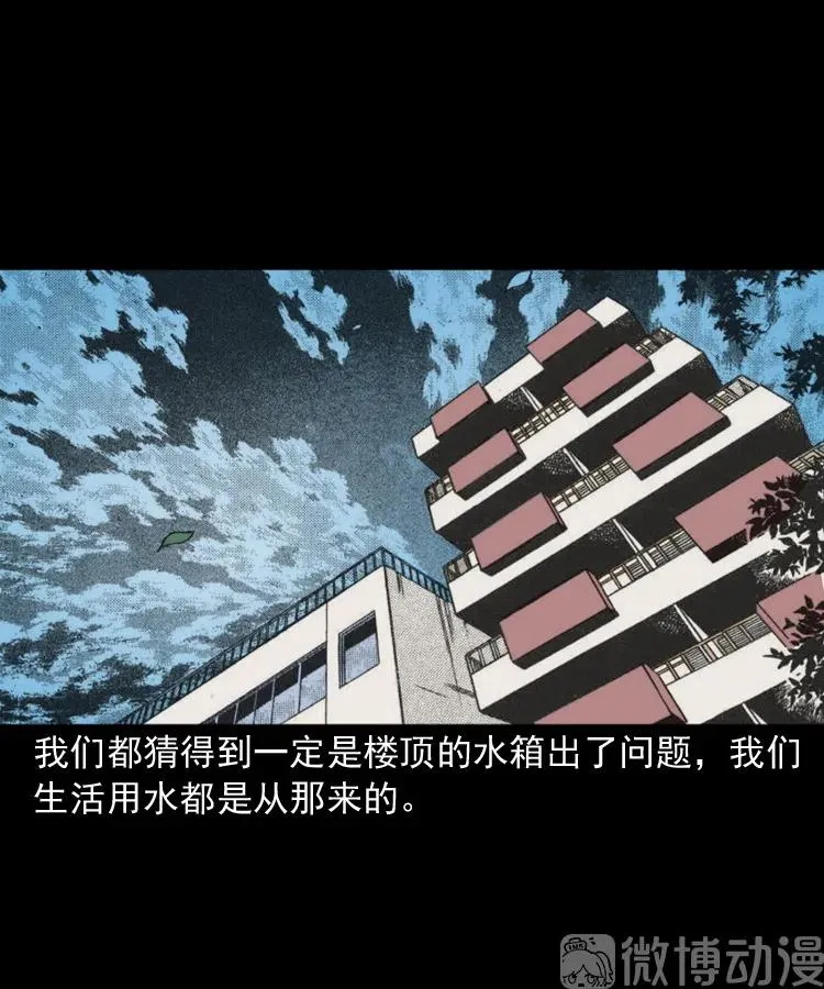 失踪的邻居67