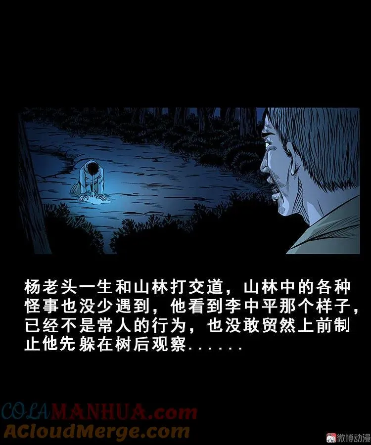 人面獾33