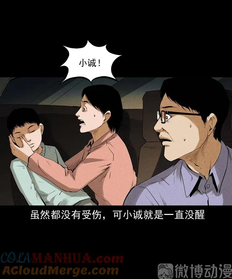 白头翁之抢魂（上）45