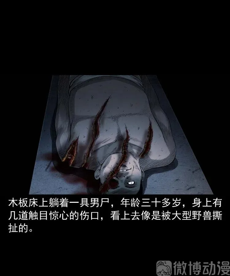 山神的真面目23