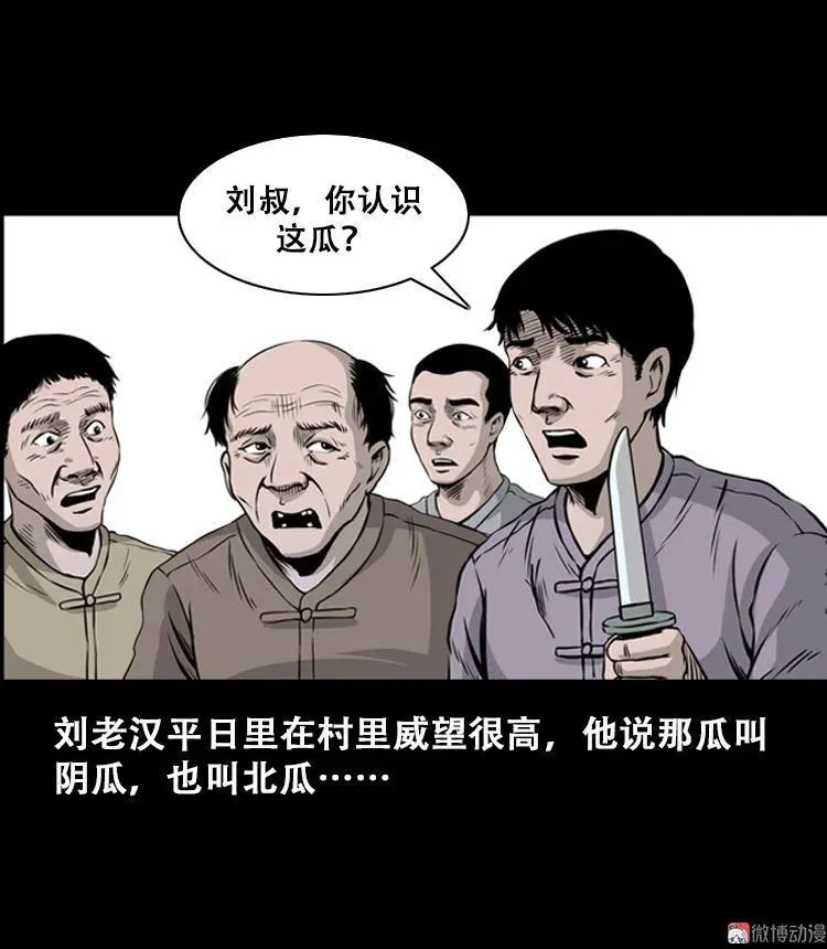 北瓜（上）37