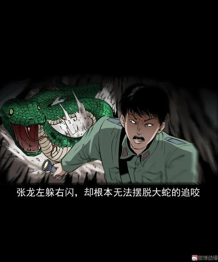 失踪案55