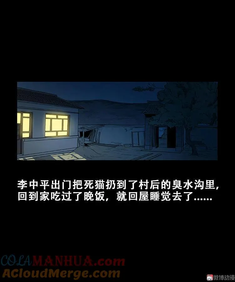 黑猫16