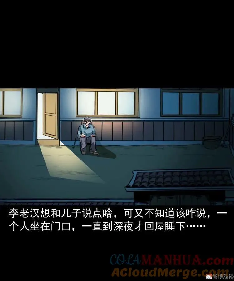 狗15