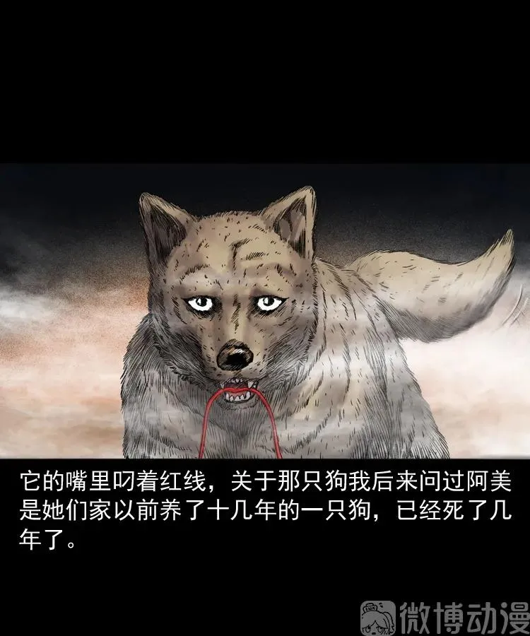 白头翁之抢魂（下）50