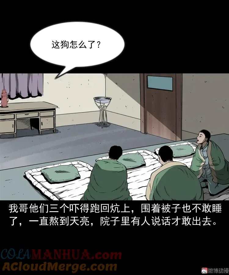 鬼火81