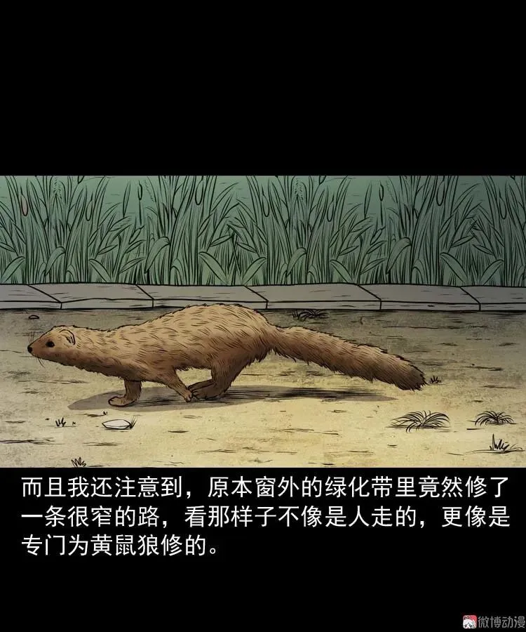 黄皮子医院7