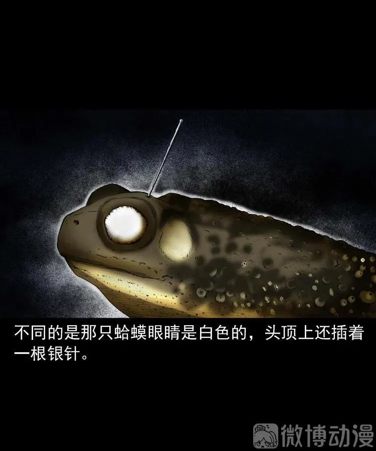 白头翁之诈尸下集65