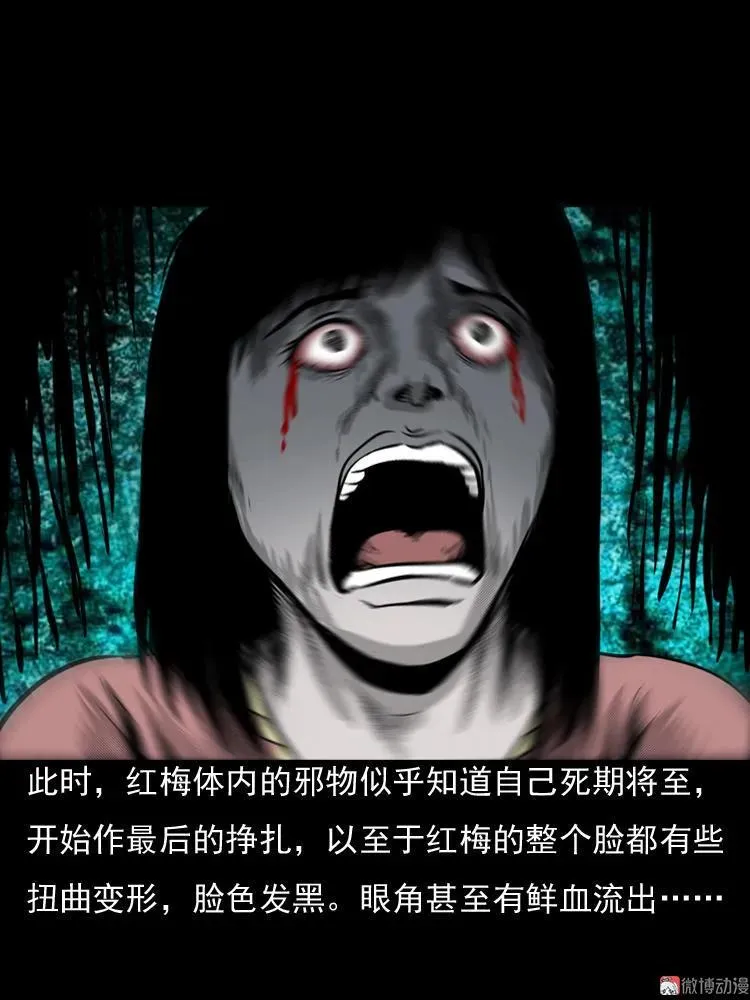 诡婴（下）74