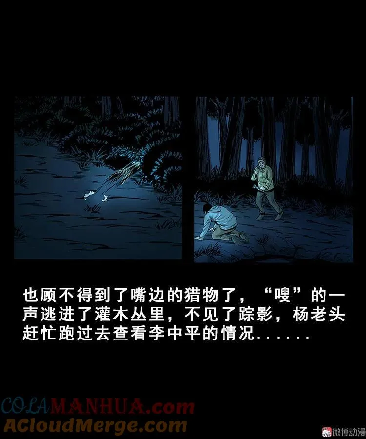 人面獾39