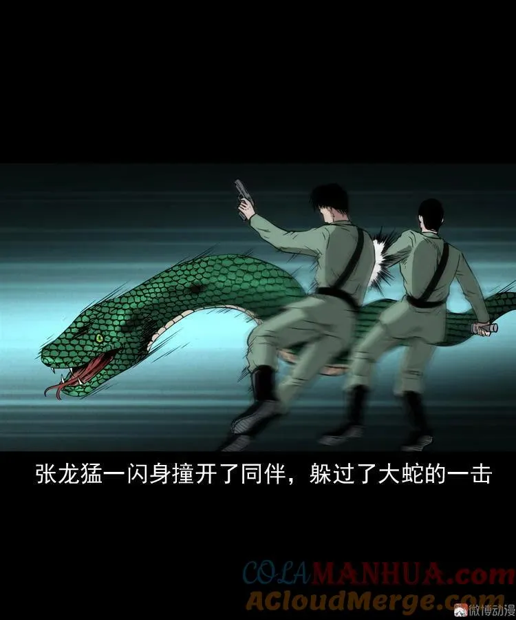 失踪案48