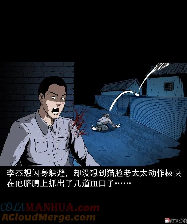 猫老太事件92