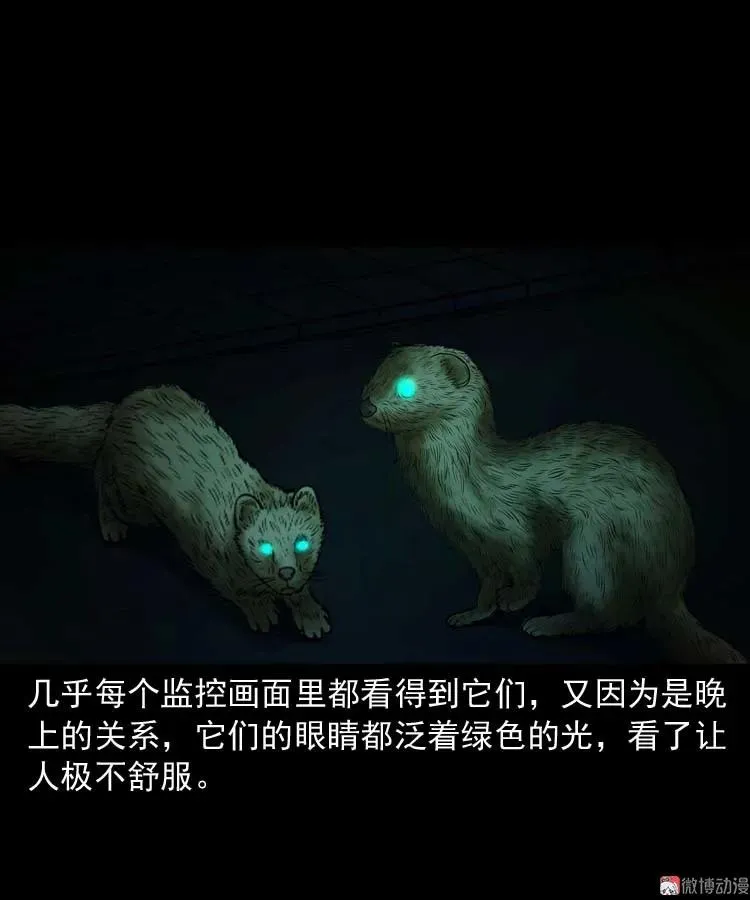 黄皮子医院16