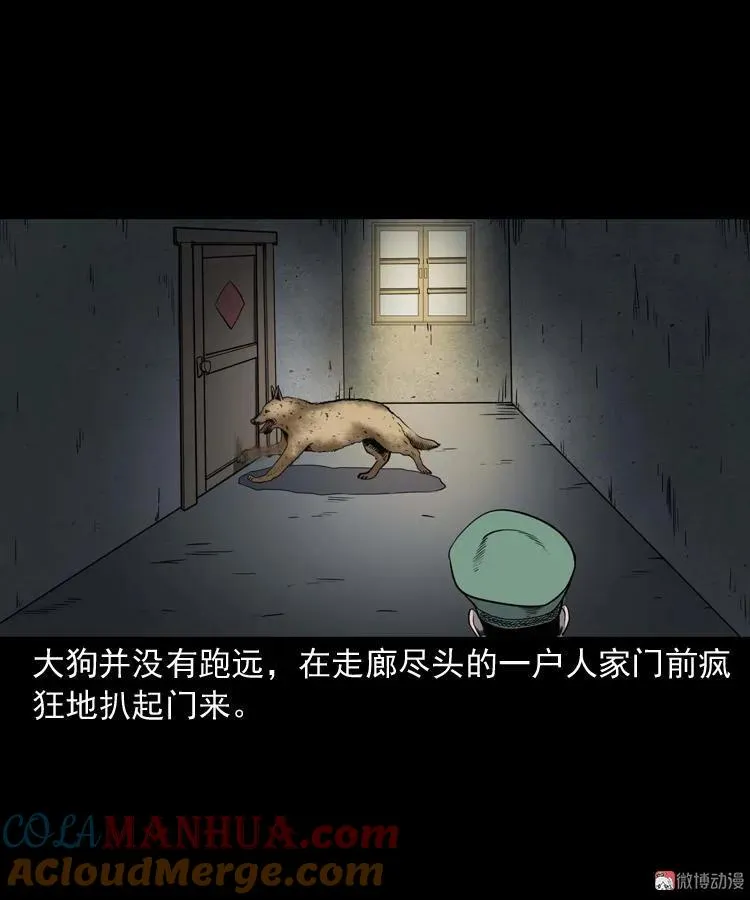消失的妻子92