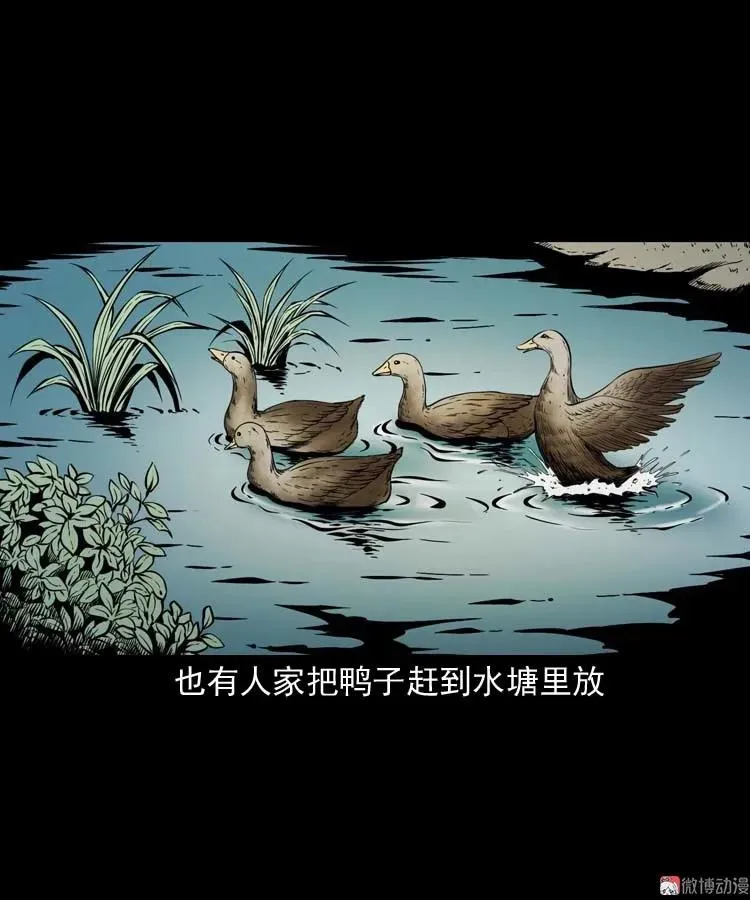 红拖鞋5