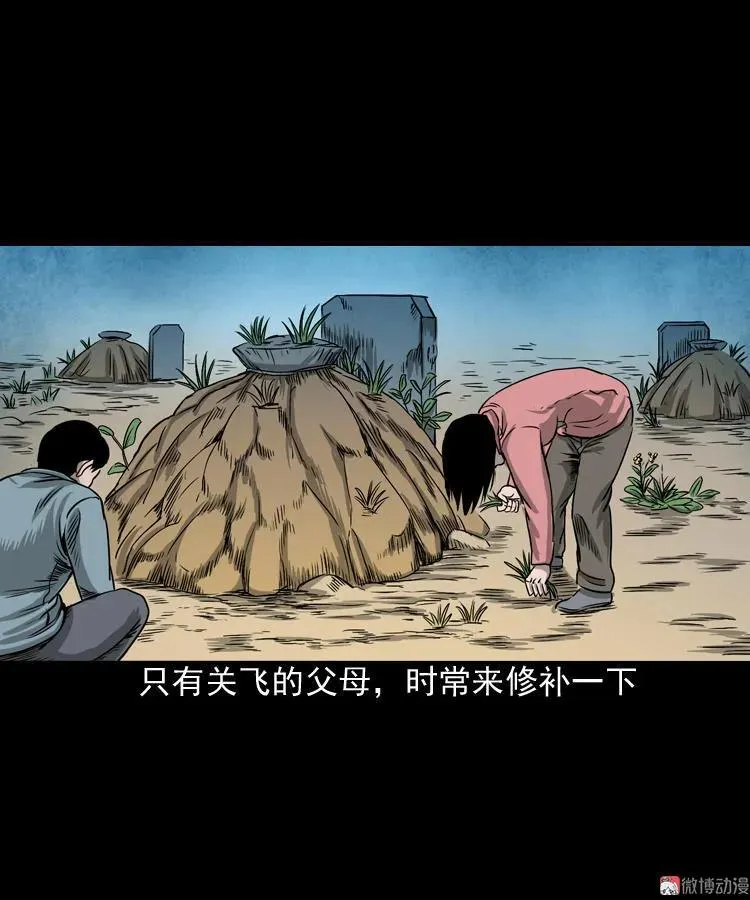 饺子61
