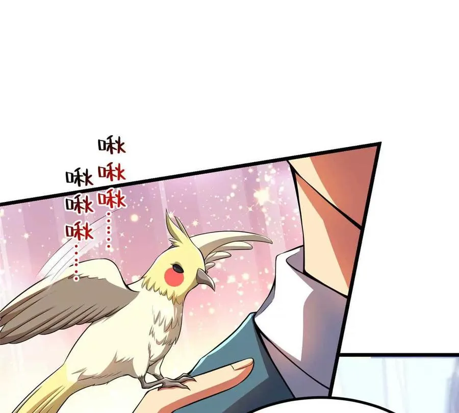 45 超凡85