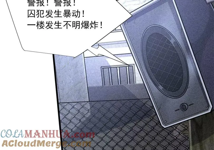 17 同伙100