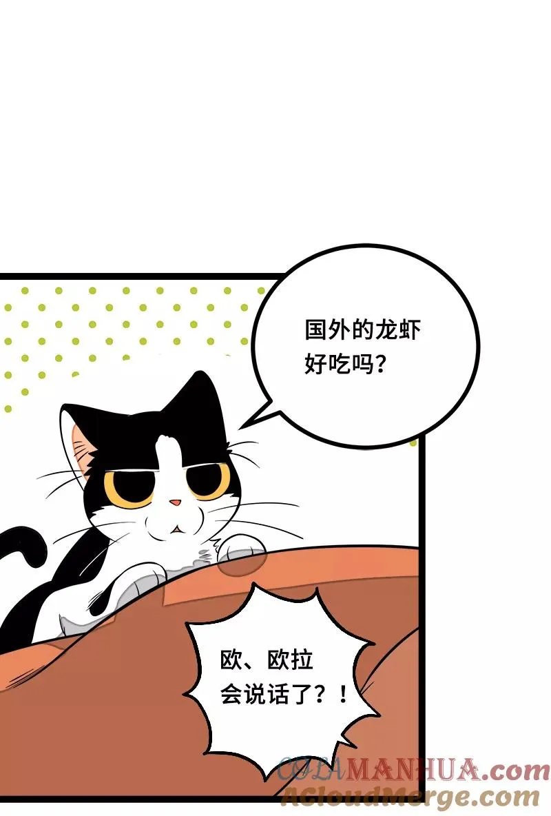 第45话 身为人的责任9