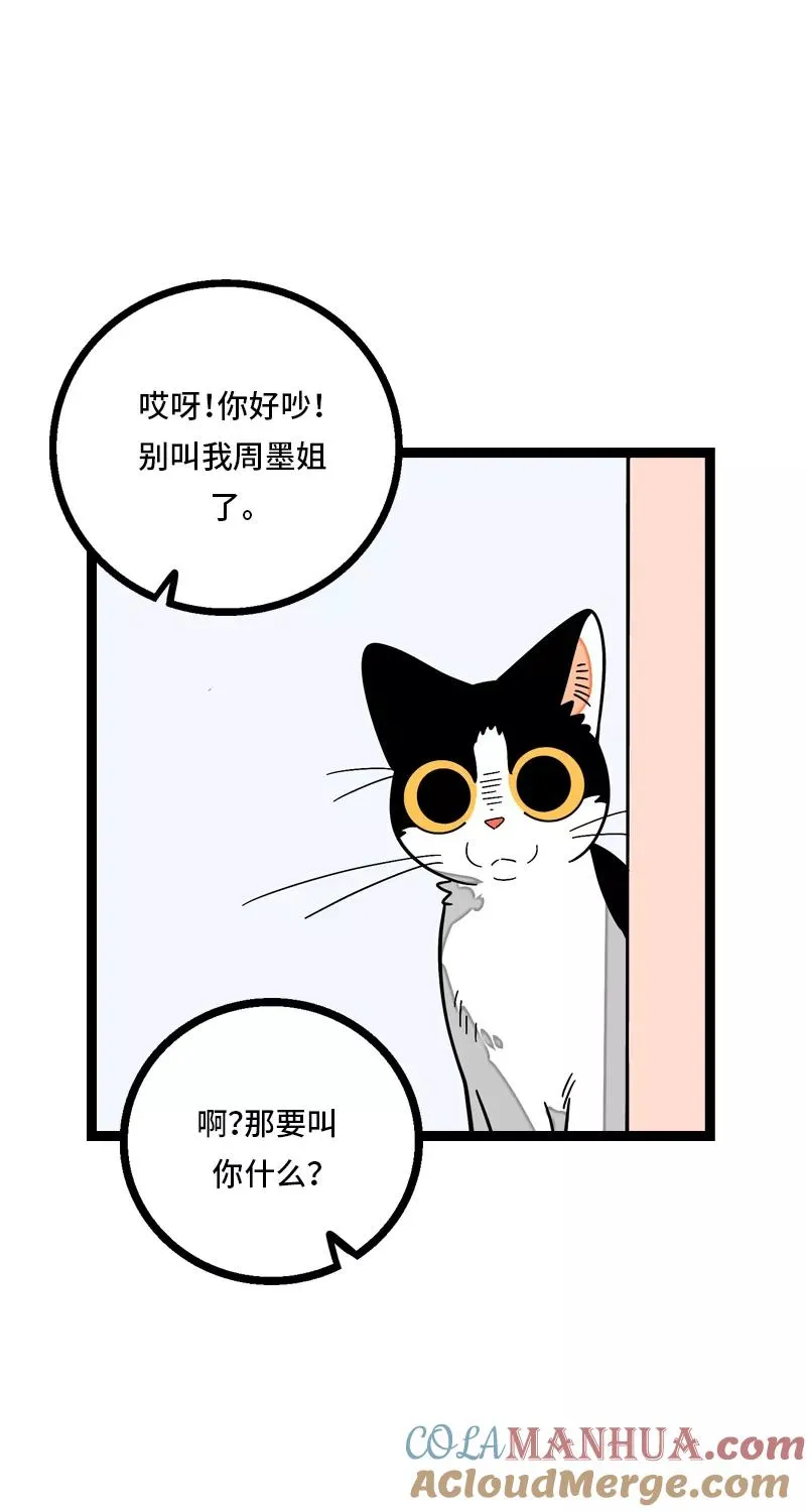 第11话 一只特立独行的猫39