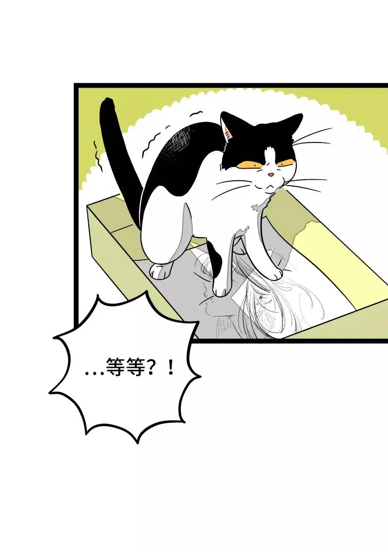 第36话 一个人的寂寞两个人的错14