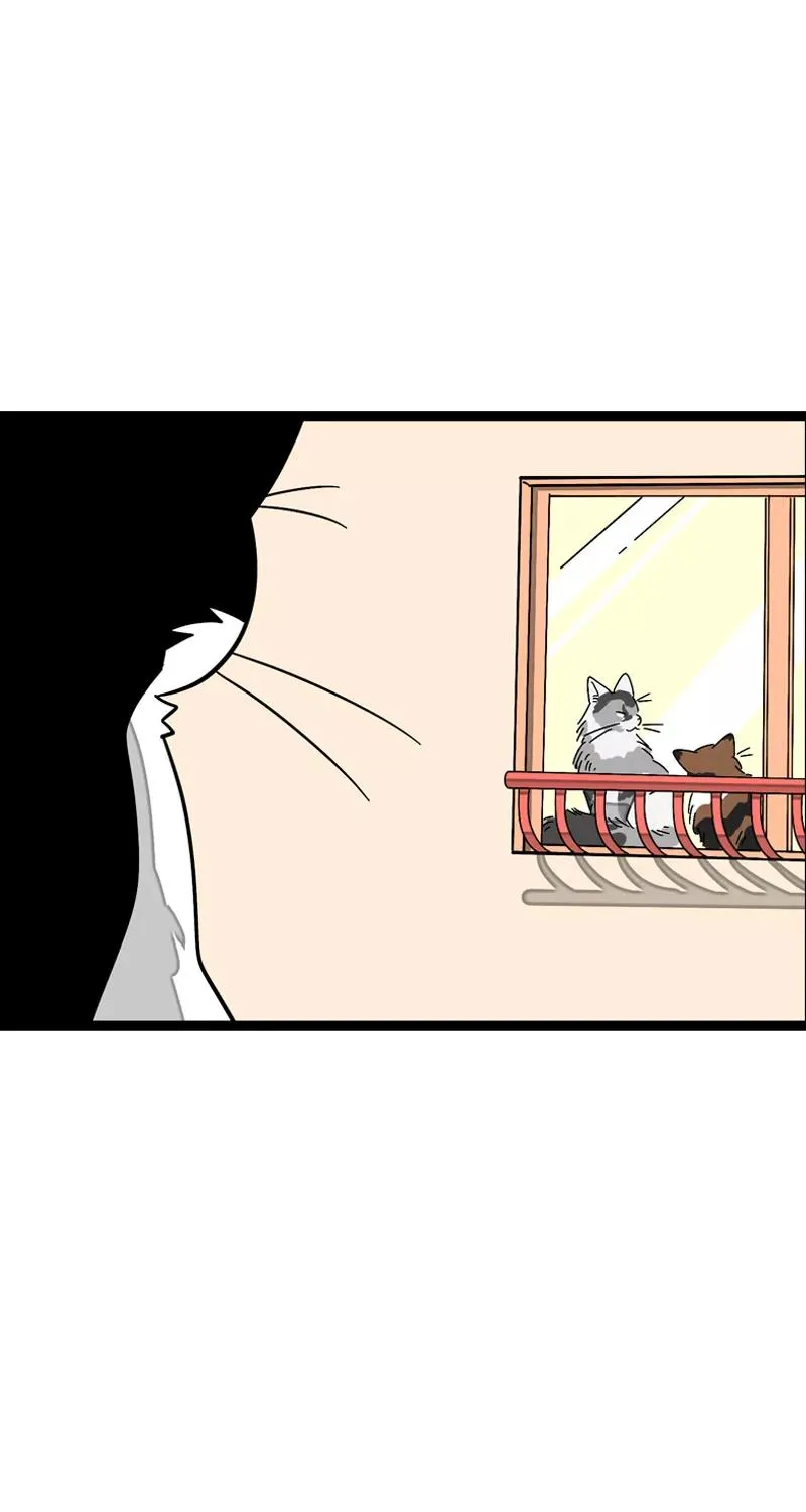 第11话 一只特立独行的猫19