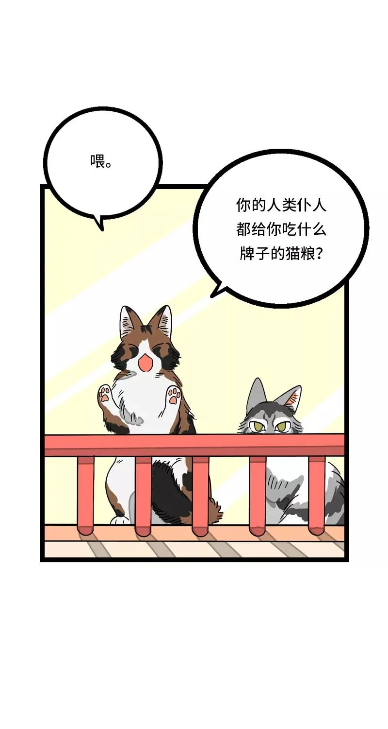 第11话 一只特立独行的猫22