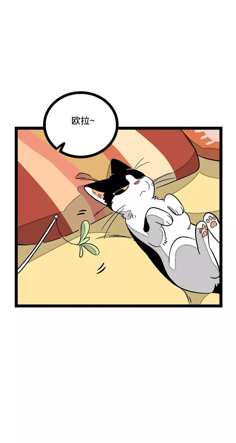 第11话 一只特立独行的猫10