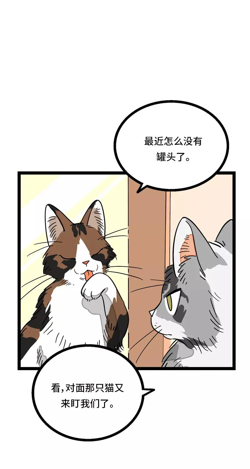 第11话 一只特立独行的猫20