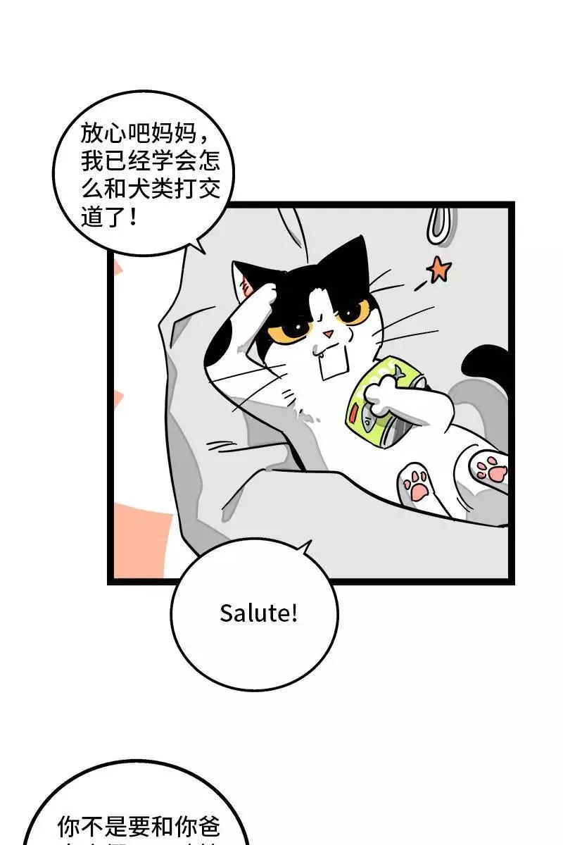 第94话 就地过年33