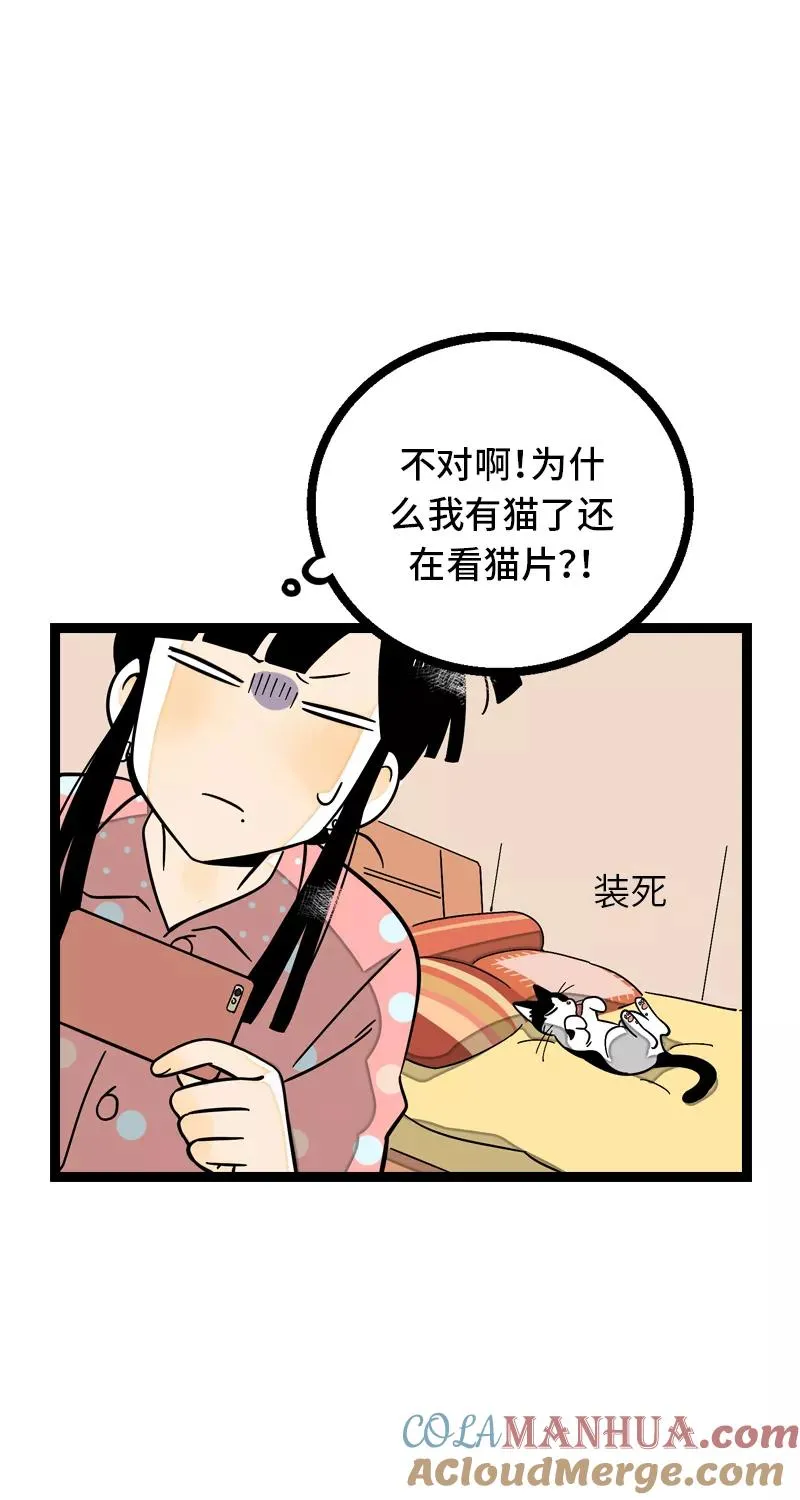 第11话 一只特立独行的猫9