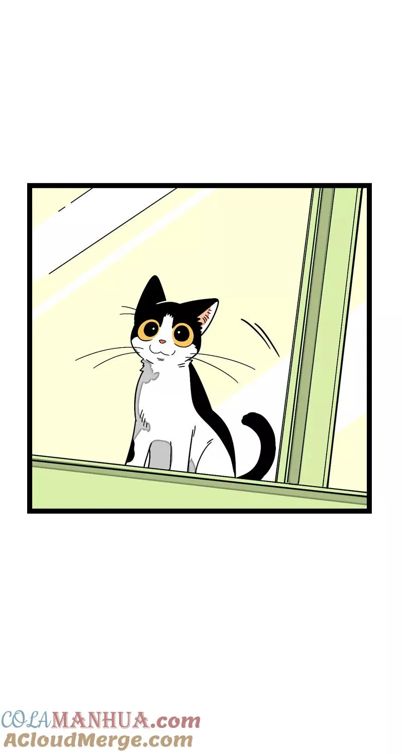第11话 一只特立独行的猫18