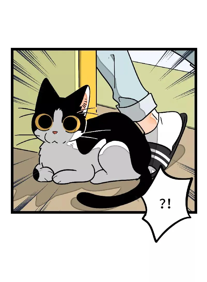 第30话 甜蜜的笑容13