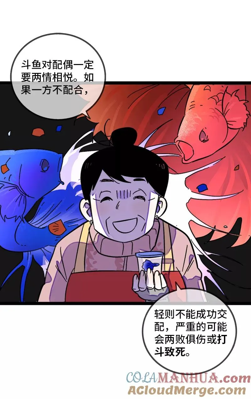 第138话 斗鱼3