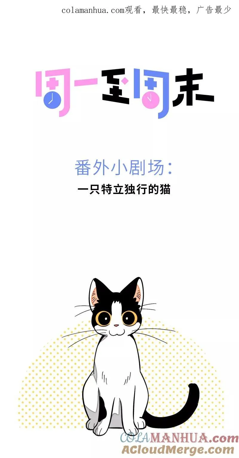 第11话 一只特立独行的猫0