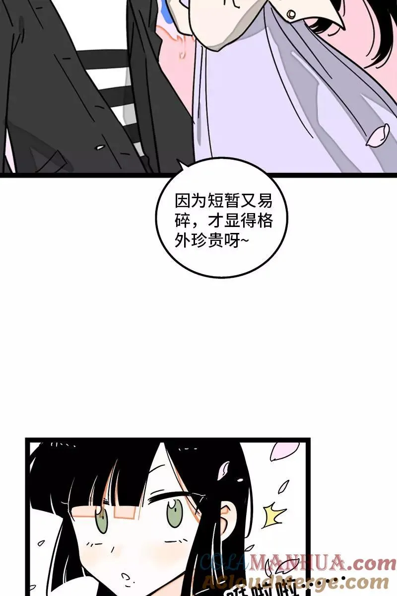 第103话 樱花14