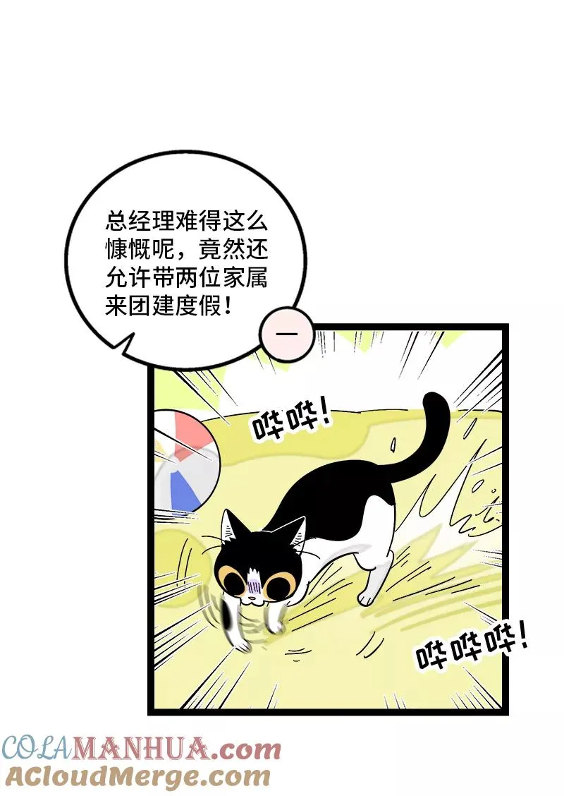 第172话 番外 满月酒6